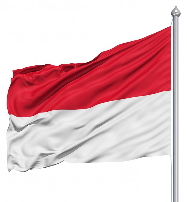 Flagga av Indonesien: art, mening, historia