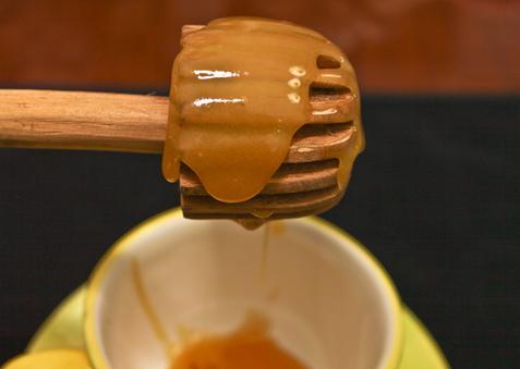 Vad är unikt om honungsbär honung? Användbara egenskaper och kemisk sammansättning