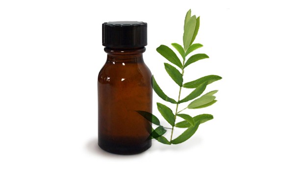 Tea Tree Oil och dess unika egenskaper