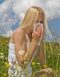 Varför finns det en hosta för allergier?