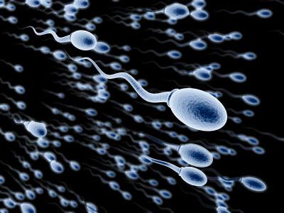 Sperm följer: Stör detta med befruktning?