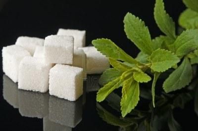 Stevia i diabetes mellitus som ersättning för socker